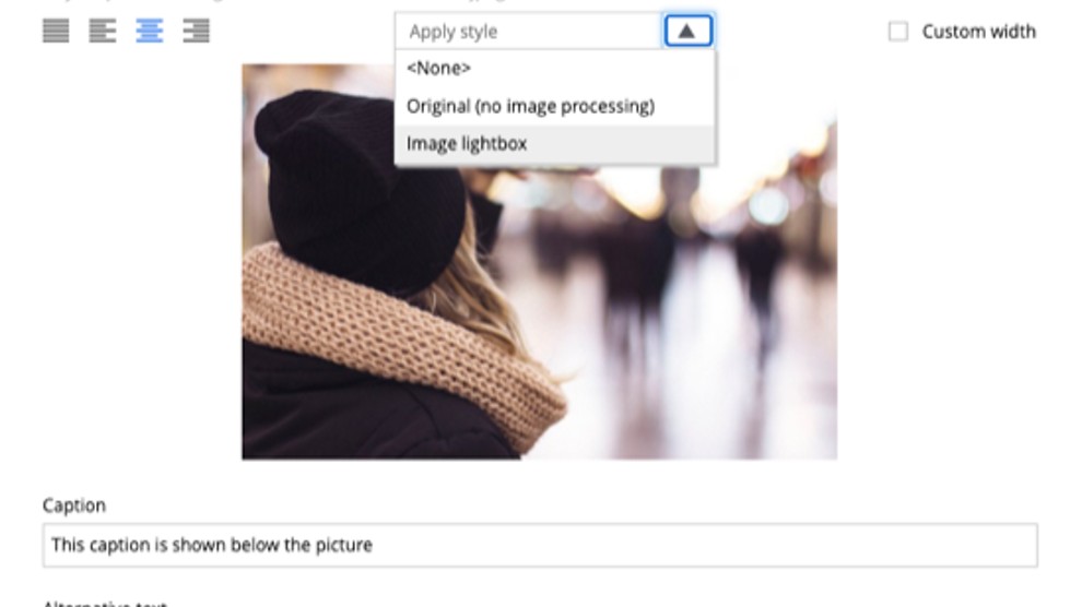 Shows an new image lightbox style inside the text editor