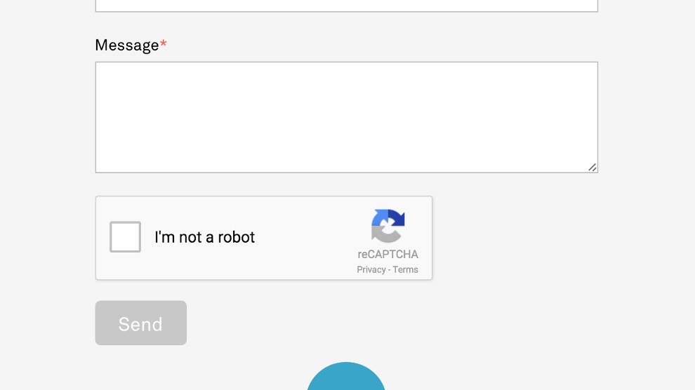 reCAPTCHA screenshot 0
